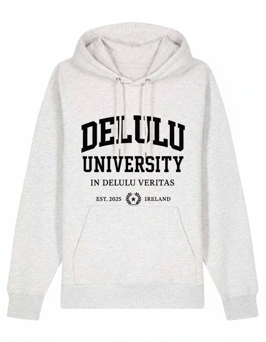 The Delulu University Hoodie